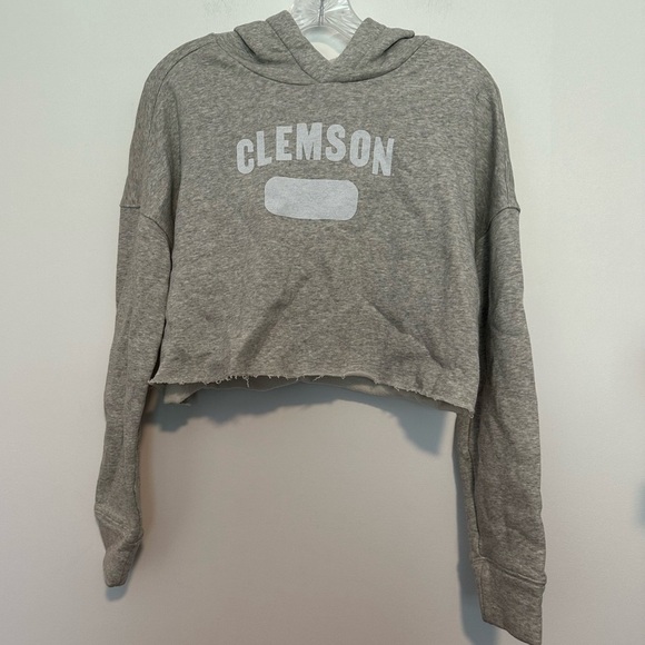 Nike Clemson gray cropped hooded sweatshirt - Picture 1 of 5